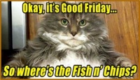 Enjoy Your Fish 'n' Chips Today!