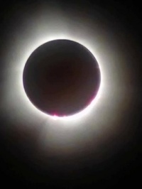04-08-2024 *Total Eclipse*