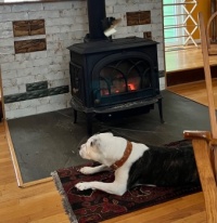 Daisy’s favorite winter spot