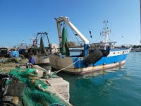Fishing trawler at Trani, Puglia, Italy