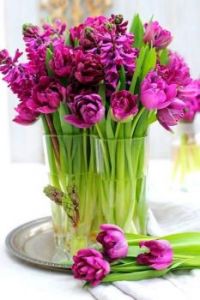 Of Summer and Sweetness