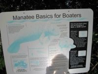 Manatee boaters