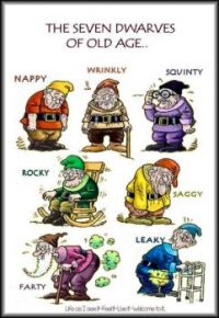 Seven Senior Dwarfs