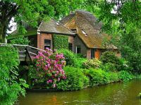 houses_in_the_green_forest
