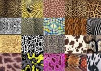 Animal patterns
