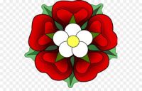 Simple Tudor Rose