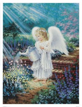 Little Angel 1