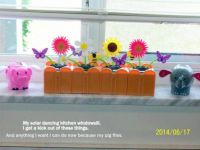 solar flowers
