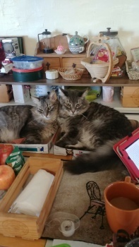 Chilling out