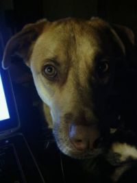 play with me, please