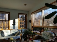 Sun in the Sun Room