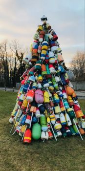 Buoy tree today, in daylight on the village green