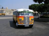 Maltese bus