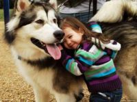 Kids And Dogs Are The Best Friends Ever