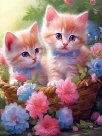 Kitten Art