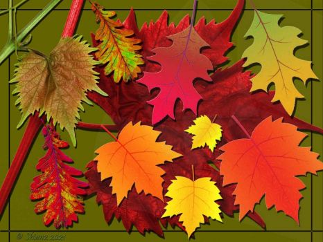 Theme :  Autumn Leaves