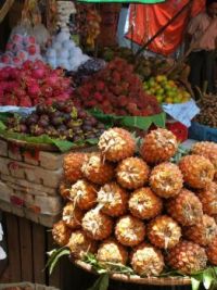 Food puzzles Page 3595 — free download