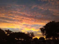 This morning