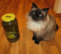 Sour pickles and Kim-Kim
