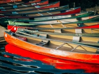 canoes
