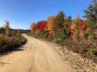 Autumn showing colors