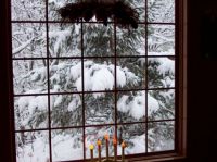 Christmas form the window