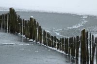 Frozen Fence