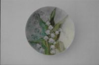 Snow drops