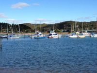 Boats moored at Waitangi.