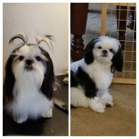 My baby got her first haircut, which do you prefer?