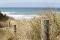 Anglesea beach, path