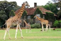 Giraffe Manor in Nairobi., Kenya