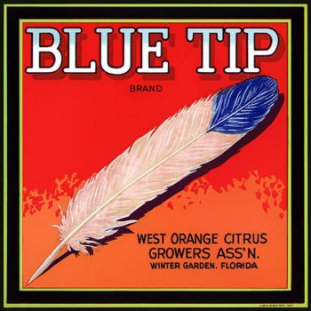 Blue tip oranges label