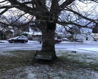 A dusting of snow