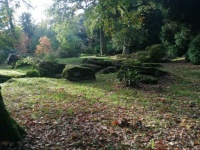 Autumn shadows at Batsford Arboretum, UK