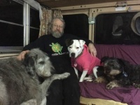 My fella and our dogs