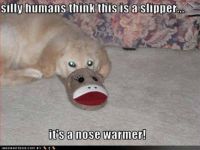 Nose Warmer!