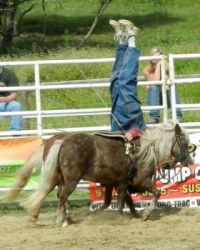 Upside Down Riding at Rodeo