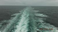 Just the Wake