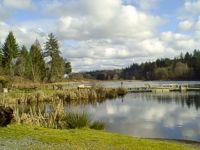 Nice day at Lake Connor Park