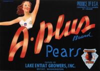A-Plus brand
