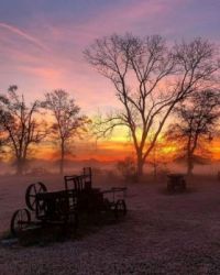 morning in haber2