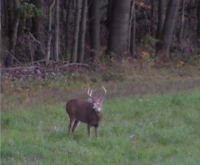 Fall in Northwest Pennsylvania always brings out the best- Bret Schweinfurth