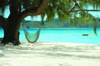 Paradise