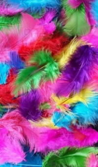 COLORFUL FEATHERS
