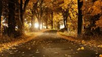 Fall-Nature-Background-Pictures