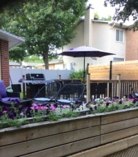 My son’s cozy deck