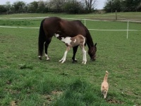 Outside for the first time