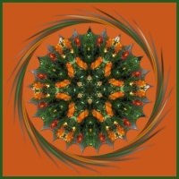 Kaleido...