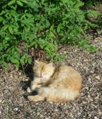 Po svačince, na slun&iacute;čku